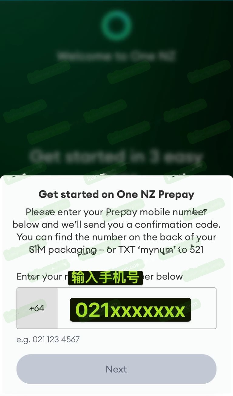 输入 One NZ 预付费手机号