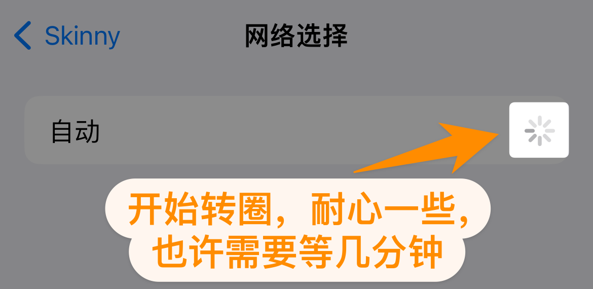 手动选择漫游运营商